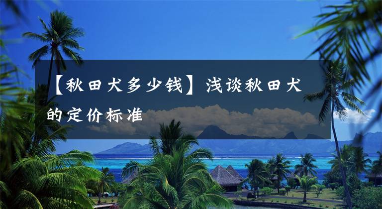 【秋田犬多少钱】浅谈秋田犬的定价标准