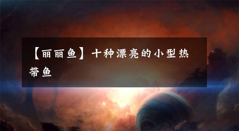 【丽丽鱼】十种漂亮的小型热带鱼