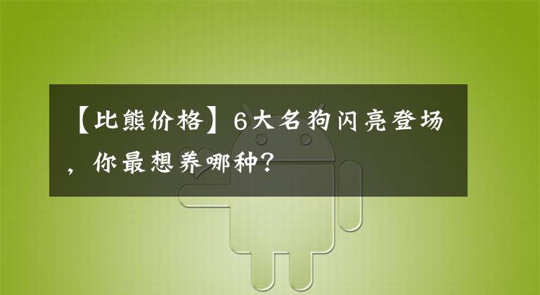【比熊价格】6大名狗闪亮登场，你最想养哪种？