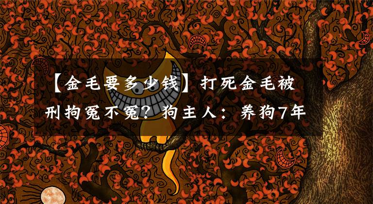 【金毛要多少钱】打死金毛被刑拘冤不冤？狗主人：养狗7年成本超30万