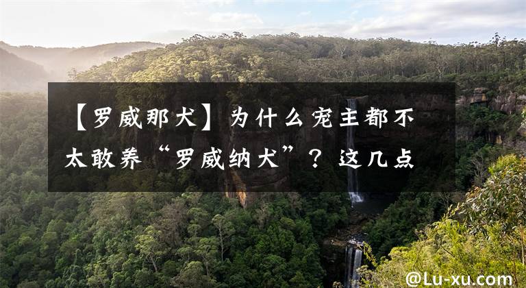 【罗威那犬】为什么宠主都不太敢养“罗威纳犬”？这几点，很多人都怕