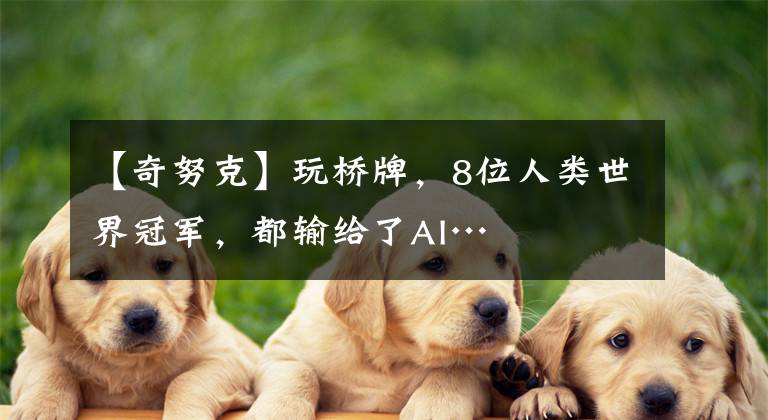 【奇努克】玩桥牌，8位人类世界冠军，都输给了AI…
