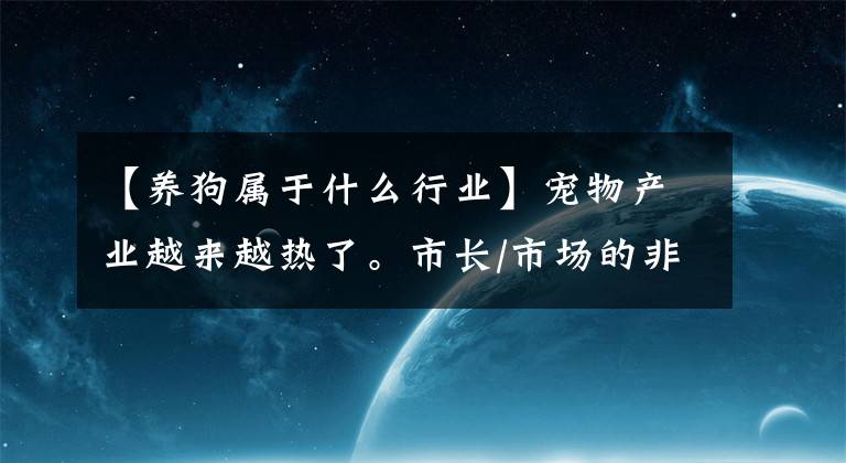 【养狗属于什么行业】宠物产业越来越热了。市长/市场的非标准法律法规仍然空白。
