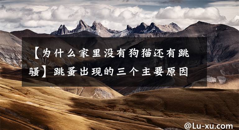 【为什么家里没有狗猫还有跳骚】跳蚤出现的三个主要原因是死海公司告诉我们的。