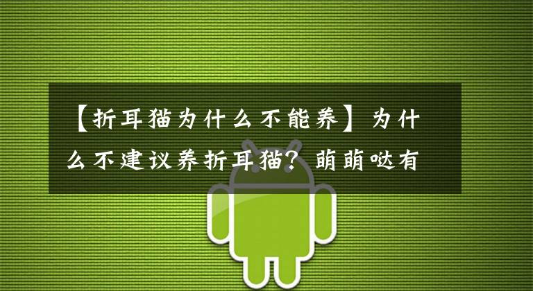 【折耳猫为什么不能养】为什么不建议养折耳猫？萌萌哒有什么不好吗？