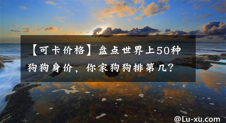 【可卡价格】盘点世界上50种狗狗身价，你家狗狗排第几？