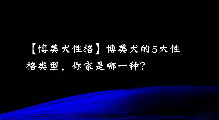 【博美犬性格】博美犬的5大性格类型，你家是哪一种？