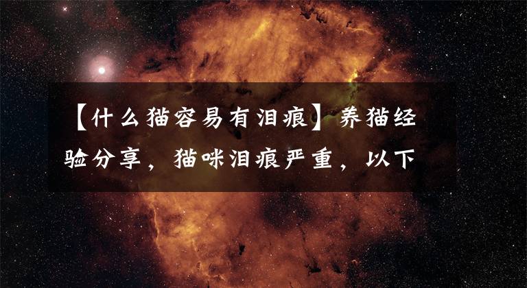 【什么猫容易有泪痕】养猫经验分享，猫咪泪痕严重，以下几个原因你知道多少？