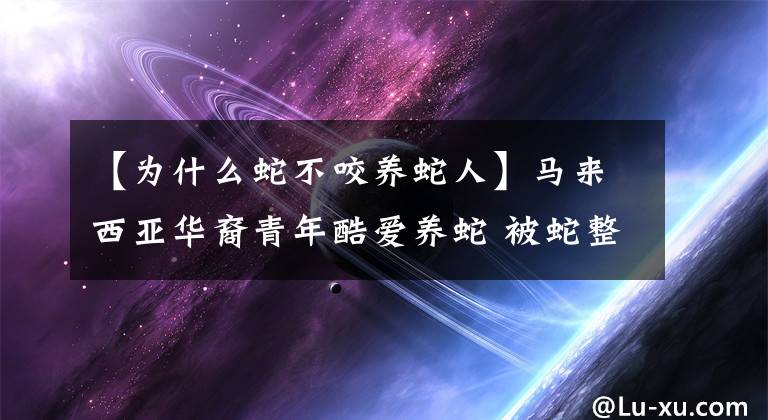 【为什么蛇不咬养蛇人】马来西亚华裔青年酷爱养蛇 被蛇整整咬了一年