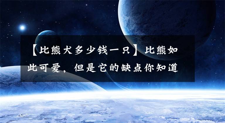 【比熊犬多少钱一只】比熊如此可爱，但是它的缺点你知道多少呢
