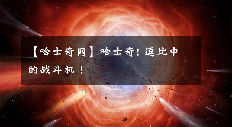 【哈士奇网】哈士奇! 逗比中的战斗机！
