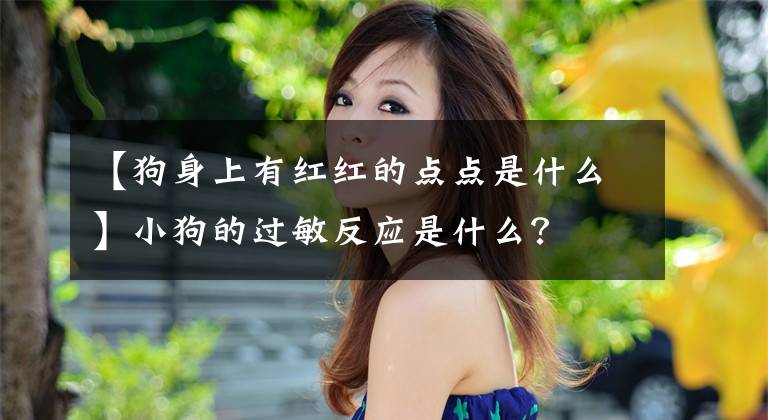 【狗身上有红红的点点是什么】小狗的过敏反应是什么？