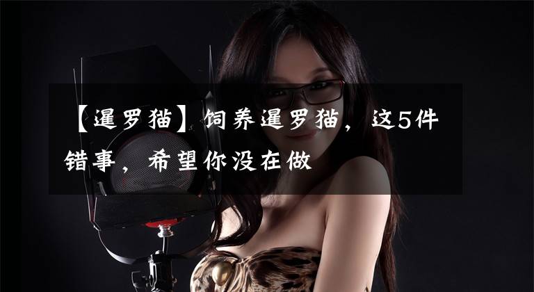 【暹罗猫】饲养暹罗猫，这5件错事，希望你没在做