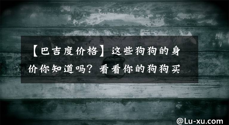 【巴吉度价格】这些狗狗的身价你知道吗？看看你的狗狗买的值不值