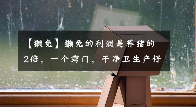 【獭兔】獭兔的利润是养猪的2倍，一个窍门，干净卫生产仔多，5年买房买车