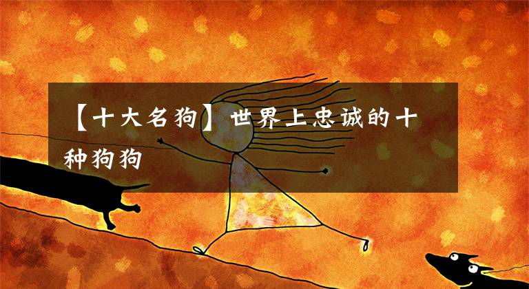 【十大名狗】世界上忠诚的十种狗狗