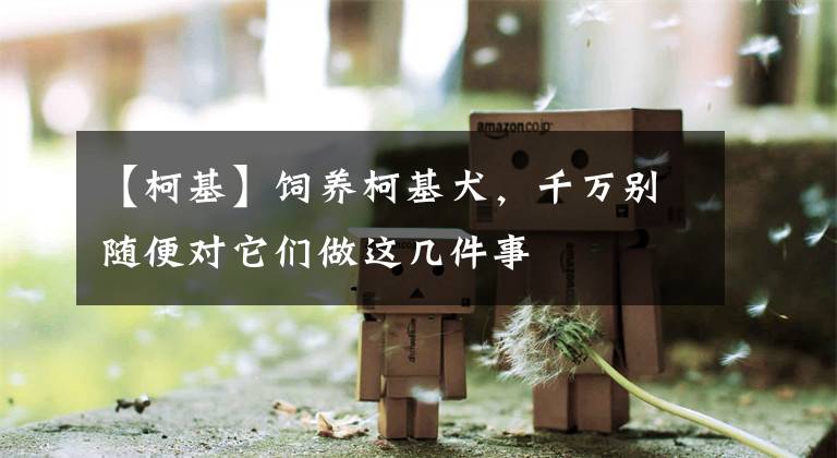 【柯基】饲养柯基犬，千万别随便对它们做这几件事