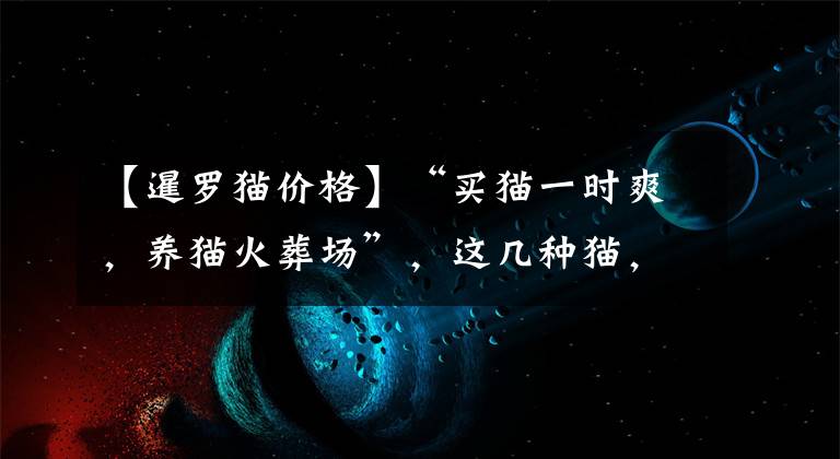 【暹罗猫价格】“买猫一时爽，养猫火葬场”，这几种猫，劝你别盲目入手