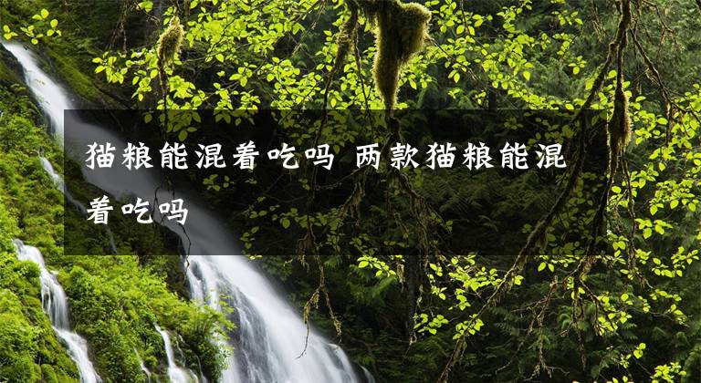 猫粮能混着吃吗 两款猫粮能混着吃吗