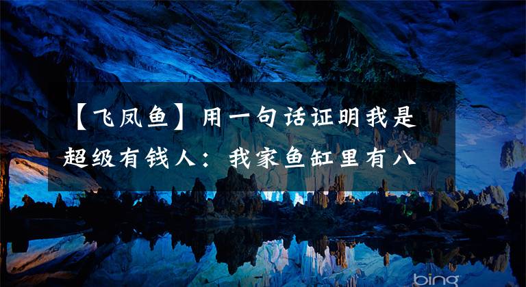 【飞凤鱼】用一句话证明我是超级有钱人：我家鱼缸里有八条泰国虎鱼！
