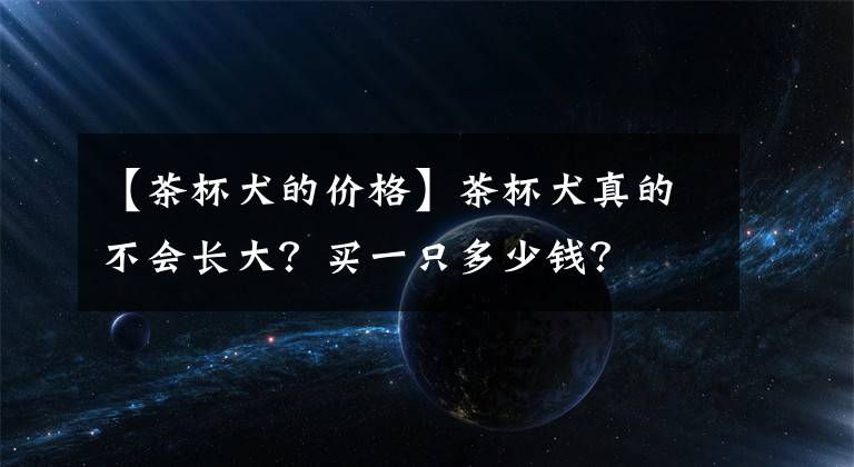 【茶杯犬的价格】茶杯犬真的不会长大？买一只多少钱？