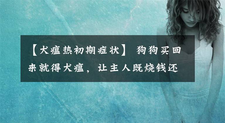 【犬瘟热初期症状】 狗狗买回来就得犬瘟，让主人既烧钱还伤心，该怎么避免？