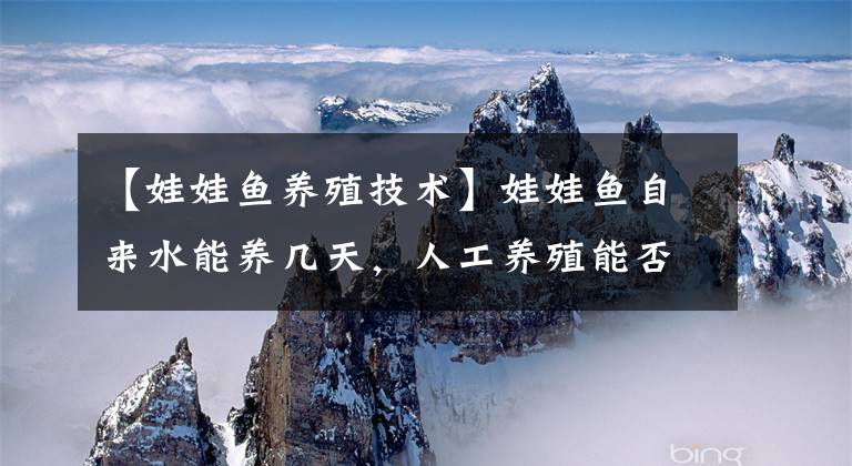 【娃娃鱼养殖技术】娃娃鱼自来水能养几天，人工养殖能否成功，养殖环境至关重要