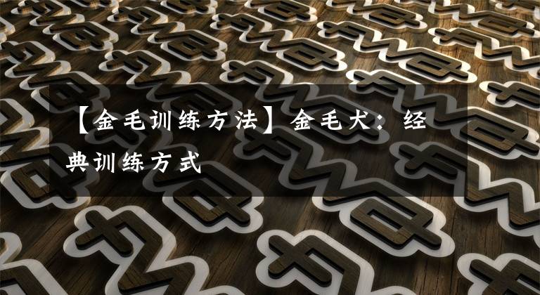 【金毛训练方法】金毛犬：经典训练方式
