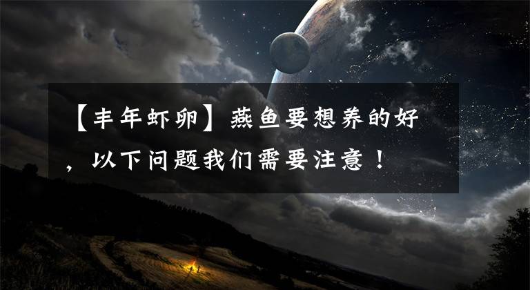 【丰年虾卵】燕鱼要想养的好，以下问题我们需要注意！