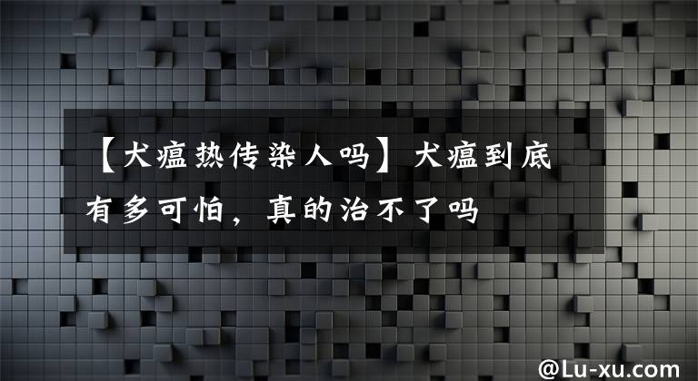 【犬瘟热传染人吗】犬瘟到底有多可怕，真的治不了吗