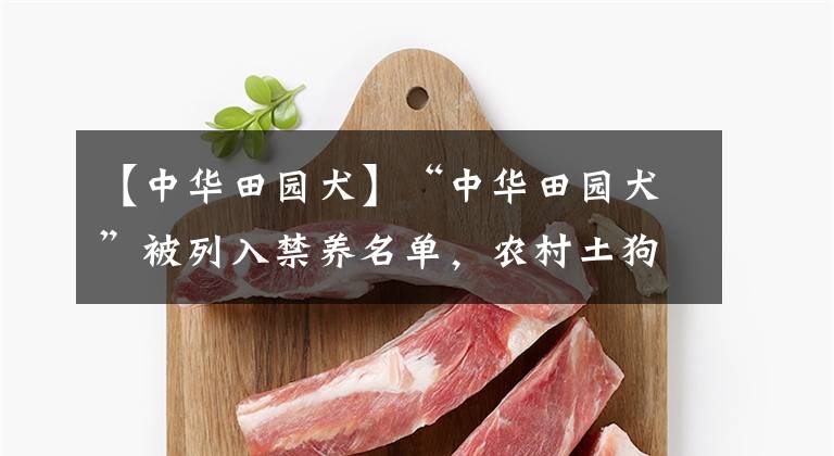 【中华田园犬】“中华田园犬”被列入禁养名单，农村土狗逐渐灭绝，你怎么看？