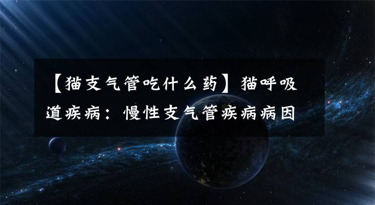 【猫支气管吃什么药】猫呼吸道疾病：慢性支气管疾病病因复杂，需要长期治疗