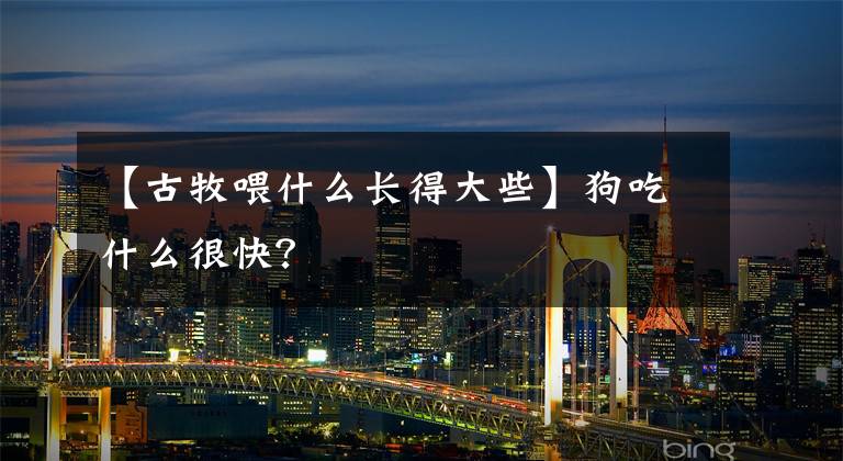 【古牧喂什么长得大些】狗吃什么很快？
