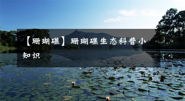 【珊瑚礁】珊瑚礁生态科普小知识