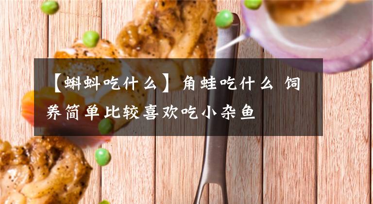 【蝌蚪吃什么】角蛙吃什么 饲养简单比较喜欢吃小杂鱼
