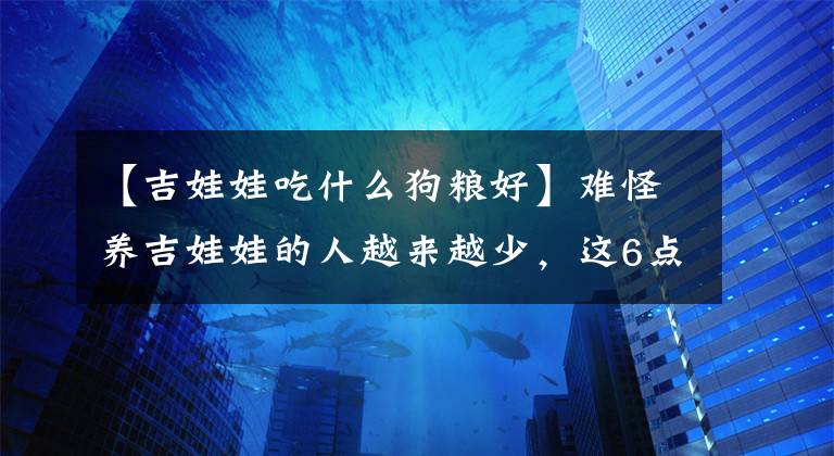 【吉娃娃吃什么狗粮好】难怪养吉娃娃的人越来越少，这6点“劝退”了很多人