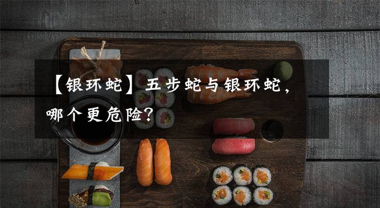 【银环蛇】五步蛇与银环蛇，哪个更危险？