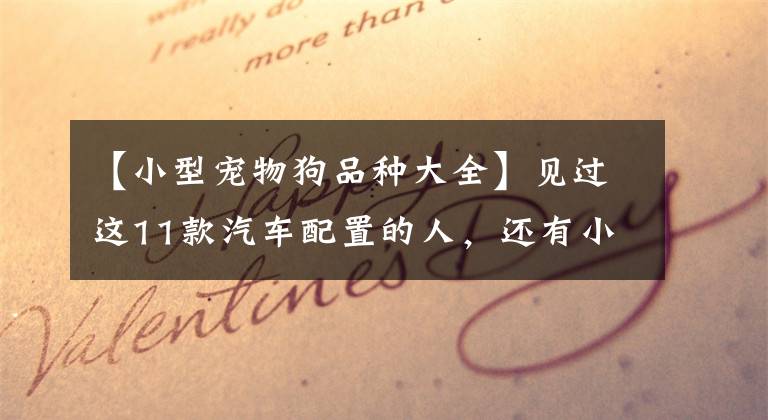 【小型宠物狗品种大全】见过这11款汽车配置的人，还有小于30岁的吗？