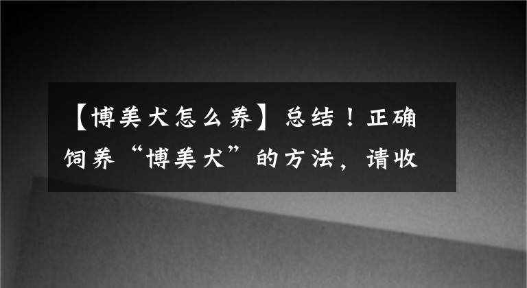 【博美犬怎么养】总结！正确饲养“博美犬”的方法，请收好