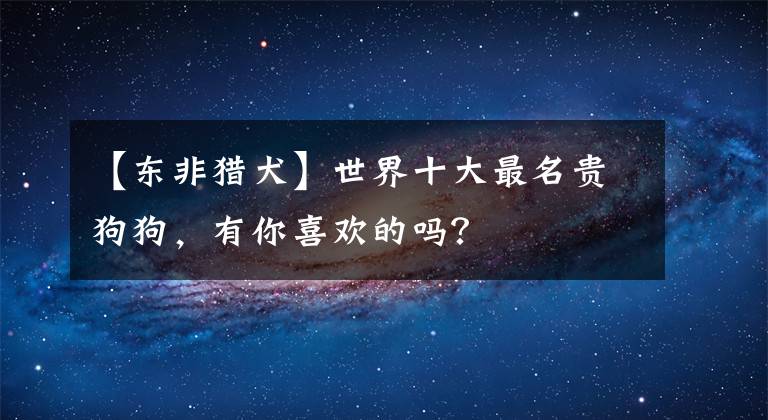 【东非猎犬】世界十大最名贵狗狗，有你喜欢的吗？