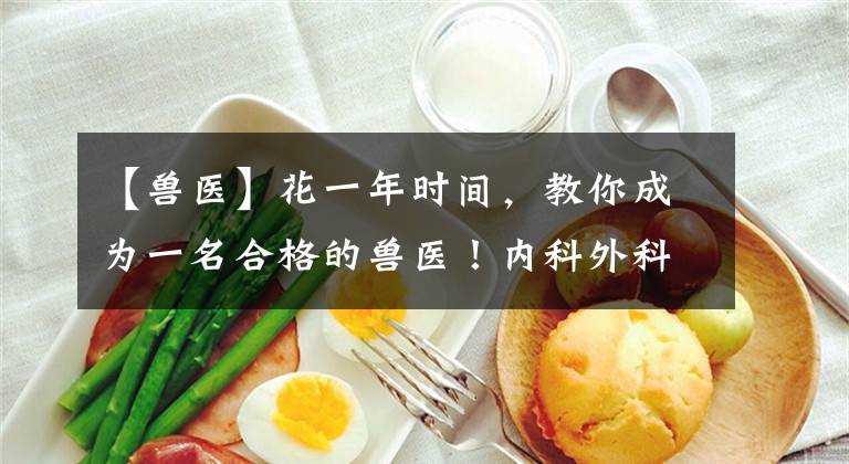 【兽医】花一年时间，教你成为一名合格的兽医！内科外科一网打尽！
