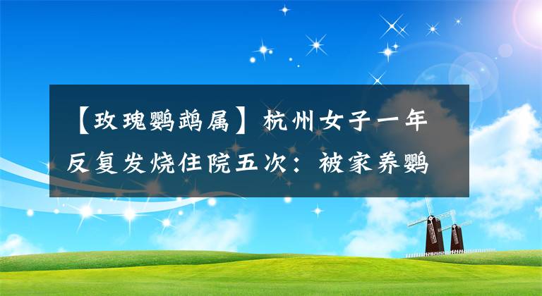 【玫瑰鹦鹉属】杭州女子一年反复发烧住院五次：被家养鹦鹉传染“鹦鹉热”