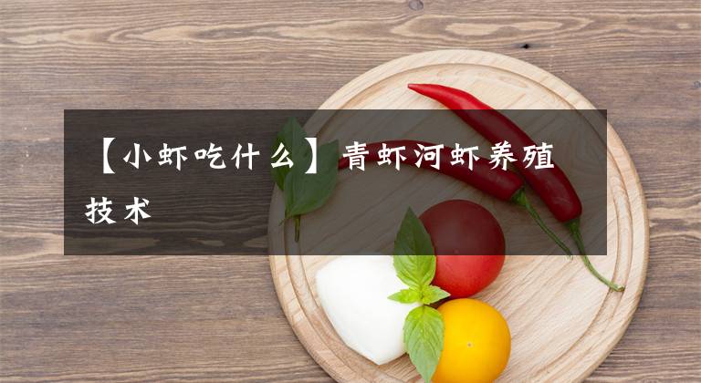 【小虾吃什么】青虾河虾养殖技术