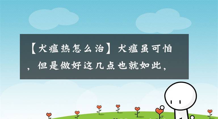 【犬瘟热怎么治】犬瘟虽可怕，但是做好这几点也就如此，快来学习一下吧！
