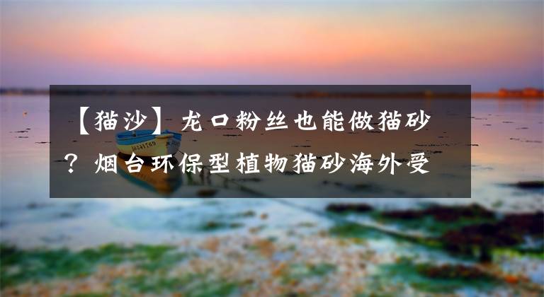 【猫沙】龙口粉丝也能做猫砂？烟台环保型植物猫砂海外受“宠”