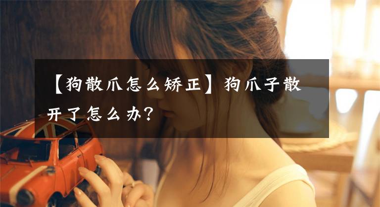 【狗散爪怎么矫正】狗爪子散开了怎么办？