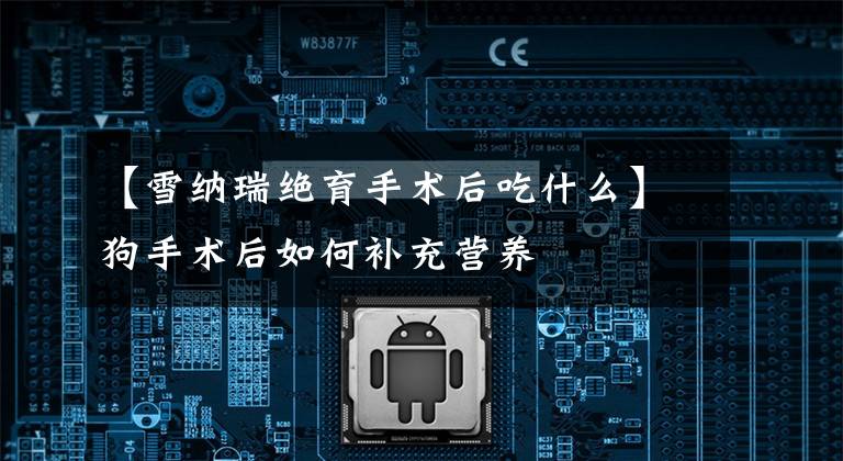 【雪纳瑞绝育手术后吃什么】狗手术后如何补充营养