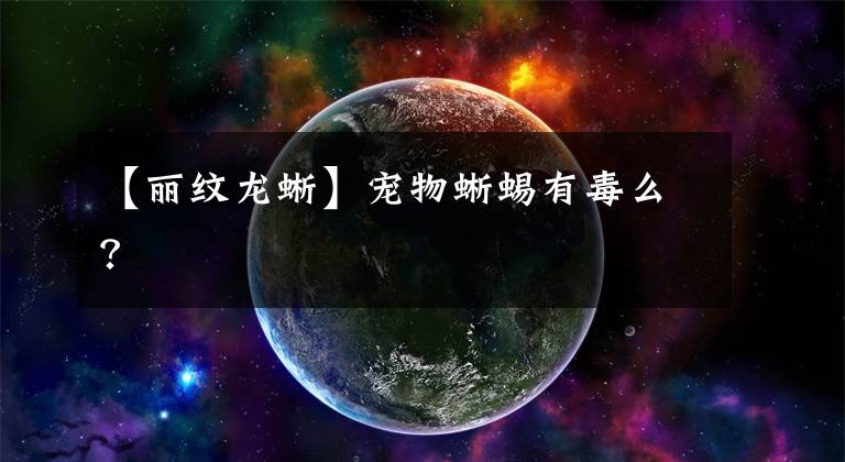 【丽纹龙蜥】宠物蜥蜴有毒么？