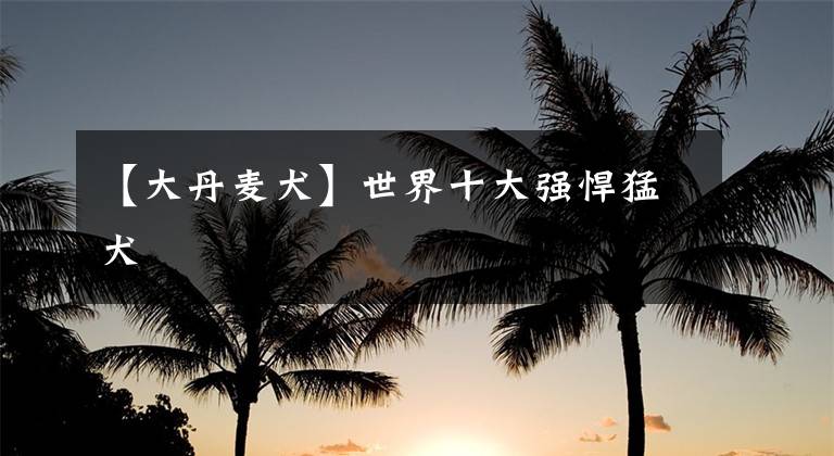 【大丹麦犬】世界十大强悍猛犬