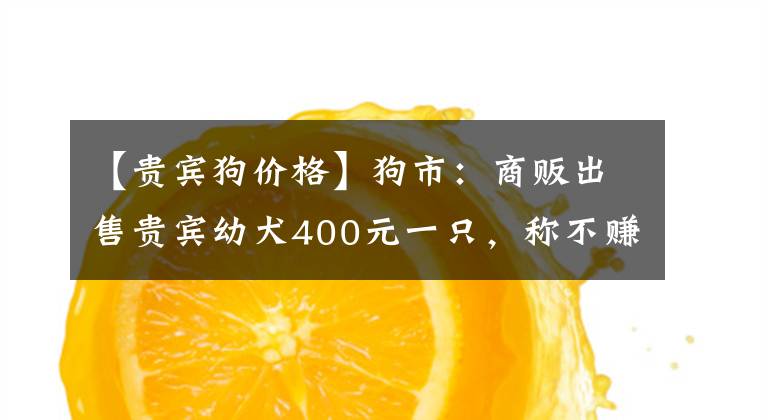 【贵宾狗价格】狗市：商贩出售贵宾幼犬400元一只，称不赚钱出售！